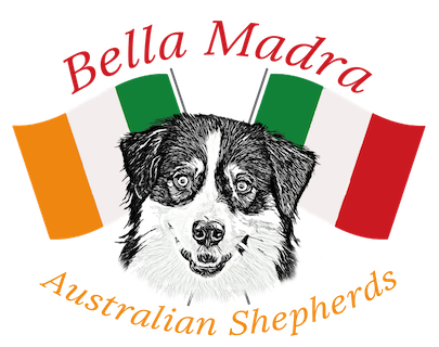 Bella Madra Aussies